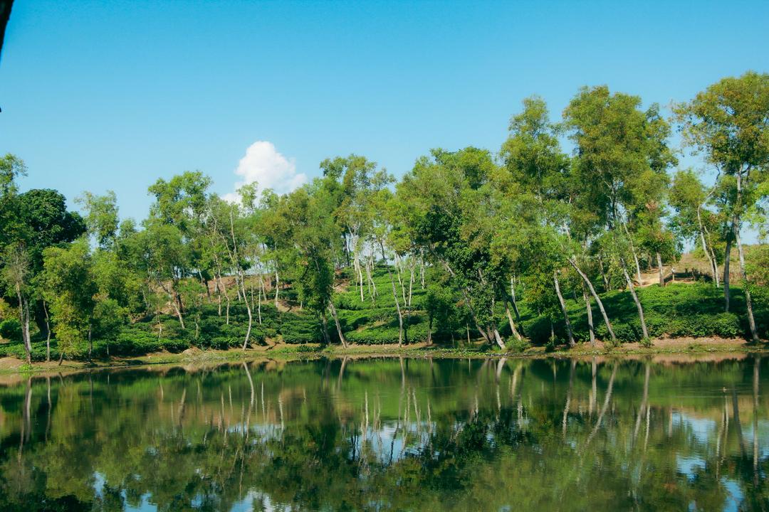 Beyond the Beaten Path: Unveiling the Hidden Gems of Bangladesh